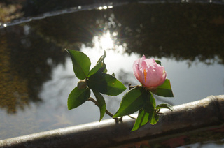 101127_3.jpg