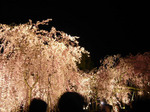 080414_2.6.jpg