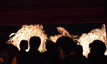 080414_2.4.jpg