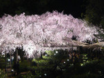 080414_4.jpg
