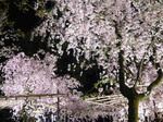 080414_5.jpg