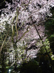 080414_6.jpg