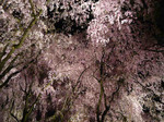 080414_7.jpg