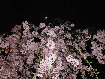 080415_2.jpg