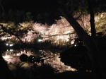 080415_3.jpg