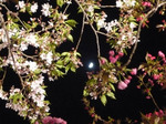 080415_4.jpg