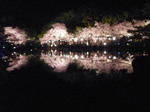 080415_6.jpg
