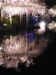080415_7.jpg