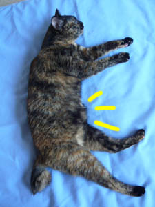 080831_4.jpg