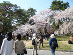 090407_0.jpg