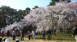090407_1.jpg
