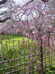 090407_3.jpg