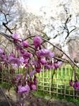 090407_4.jpg