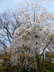 090407_5.jpg