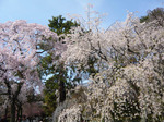 090407_6.jpg