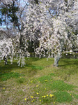 090407_7.jpg
