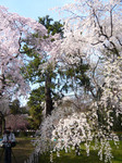 090407_8.jpg
