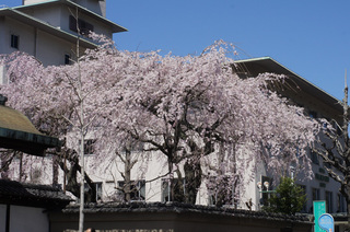 110404_1.jpg