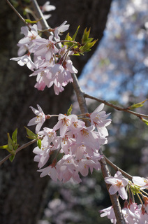 110404_6.jpg