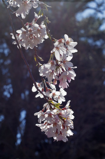 110404_7.jpg