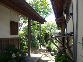180528_0.jpg