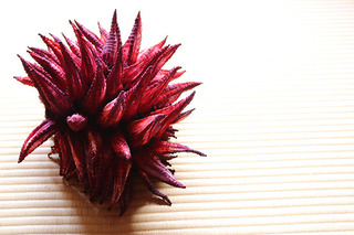 190512_6.jpg