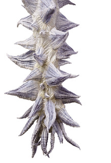 191004_2.jpg