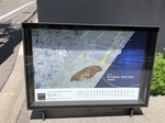 IMG_7980.jpeg