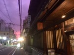 IMG_8805.jpg