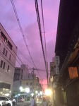 IMG_8806.jpg