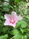 IMG_9054.jpg
