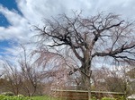 IMG_0946.jpg