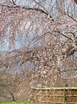 IMG_0947.jpg