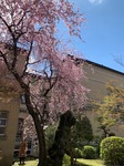 IMG_1022.jpg