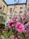 IMG_1045.jpg