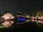 IMG_1174.jpg