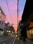 IMG_8505.jpg