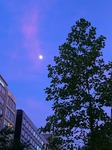 IMG_8506.jpg