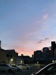 IMG_8513.jpg